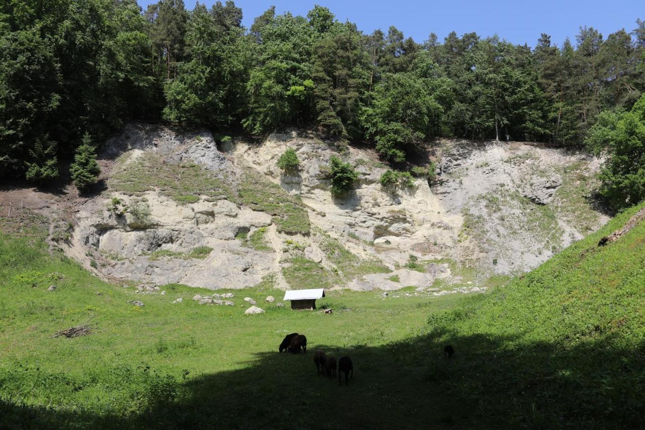 Landgasthof Adler Utzmemmingen Exteriör bild